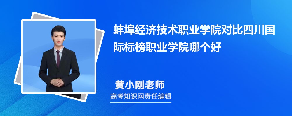 蚌埠经济技术职业学院对比四川国际标榜职业学院哪个好 附分数线排名