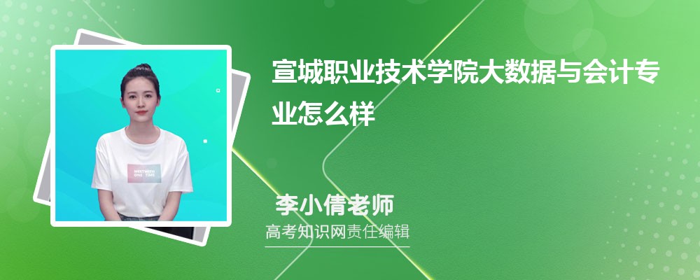 宣城职业技术学院大数据与会计专业怎么样?录取分数线多少分